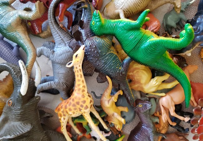 About – Little Seedlings